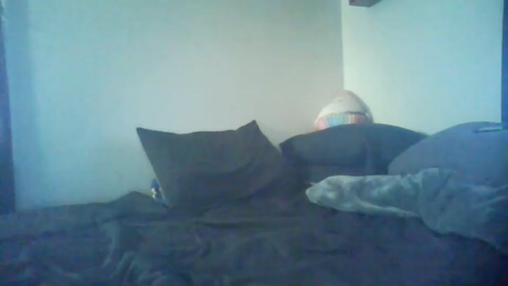 chad_the_blatalian  16-03-2022